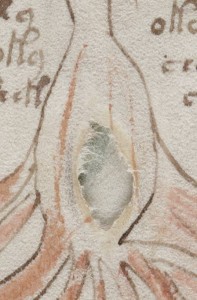 The curious rubbed-through hole on f34r/f34v of the Voynich Manuscript