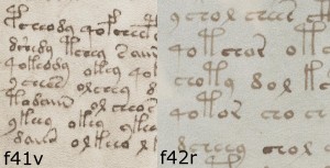 Voynich Manuscript Voynichese, f41v text placed next to f42r text