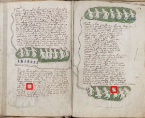 Voynich Manuscript, page f78v placed next to f81r