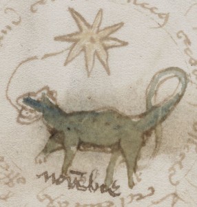 Voynich Manuscript f73r, detail of scorpion/salamander at centre of Scorpio zodiac circle