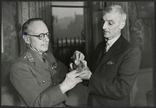 'Tommy' the pigeon being awarded the Dicken medal for distinguished war service 
