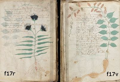 Voynich Manuscript f17r and f17v, side-by-side