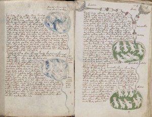 Voynich Manuscript, f84v placed next to f78r