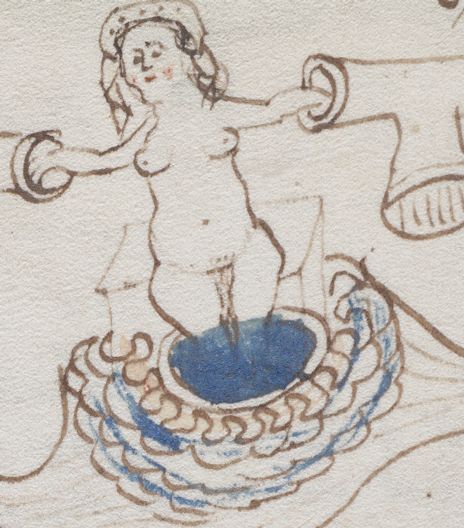 Voynich manuscript - Wikipedia