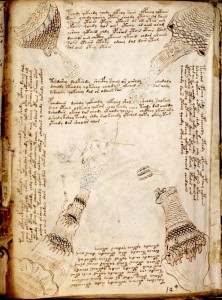 Voynich Manuscript f86v3 - 600x808