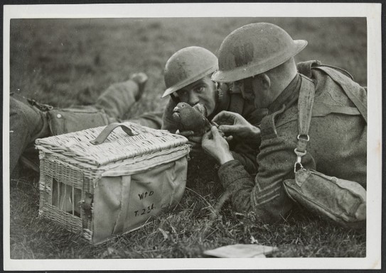 Attaching a message to a bird for dispatch 