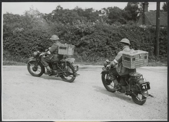 Pigeon dispatch riders on the road